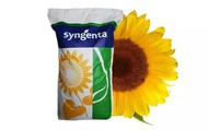    , Syngenta