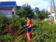Покос травы Барнаул. Расчистка участков от травы, бурьяна, деревьев и кустарника. ..