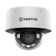 IP  TSi-Vn253F Tantos