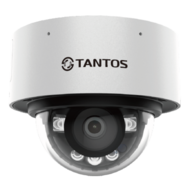 IP  TSi-Vn453F Tantos