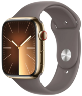 Apple Watch Series 9 45mm Gold Steal ( ),  Sport Band ..