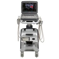 Siemens Acuson P500