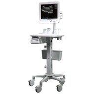 Siemens Acuson Freestyle