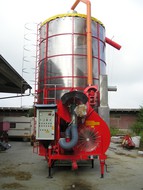   FRATELLI PDROTTI LARGE 300