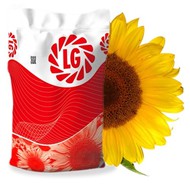   LimaGrain/LG