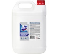     5 Domestos Prof 