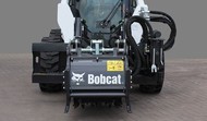    bobcat 