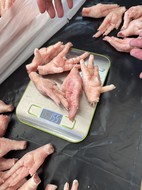        chicken paws grade a 30 for mainland China