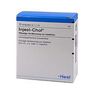 Injeel-Chol Ampullen 10 St